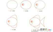 圆头鱼动物简笔画步骤图片大全