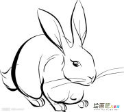 大白兔动物简笔画步骤图片大全