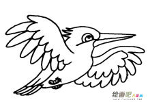 翠鸟动物简笔画步骤图片大全(2)