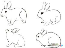兔子动物简笔画步骤图片大全