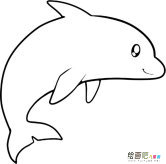海豚动物简笔画步骤图片大全二