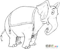 大象动物简笔画步骤图片大全二