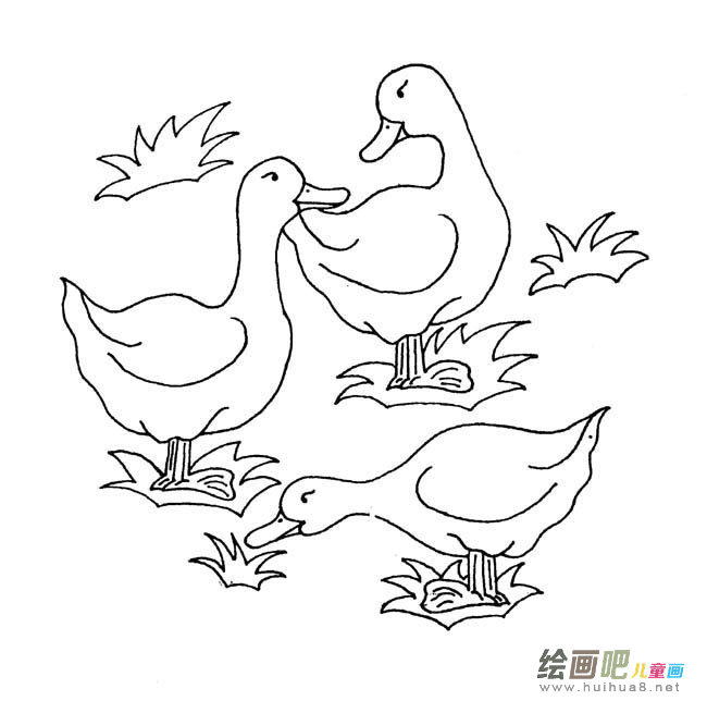 三只鸭子动物简笔画步骤图片大全