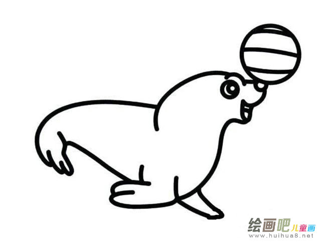 海豹表演动物简笔画步骤图片大全
