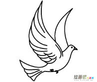 和平鸽动物简笔画步骤图片大全