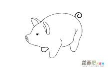 小肥猪动物简笔画步骤图片大全
