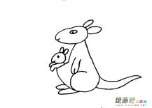 袋鼠动物简笔画步骤图片大全四