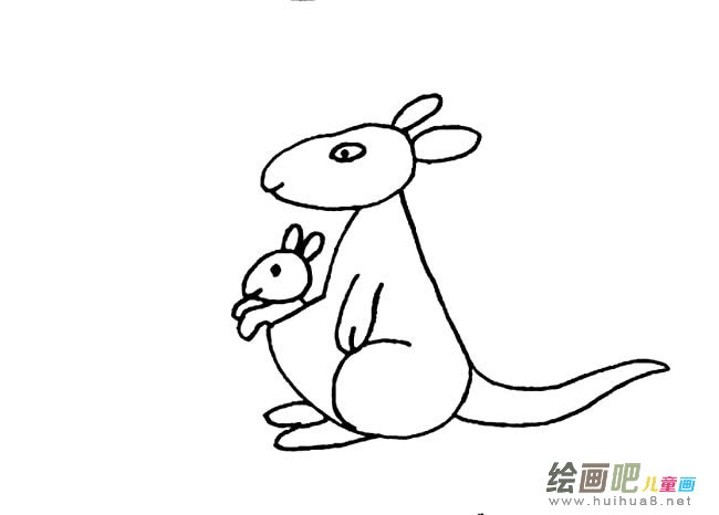 袋鼠动物简笔画步骤图片大全四