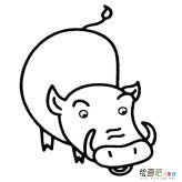 野猪动物简笔画步骤图片大全二