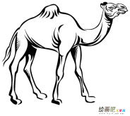 单峰骆驼动物简笔画步骤图片大全