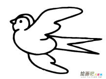 小燕子动物简笔画步骤图片大全三
