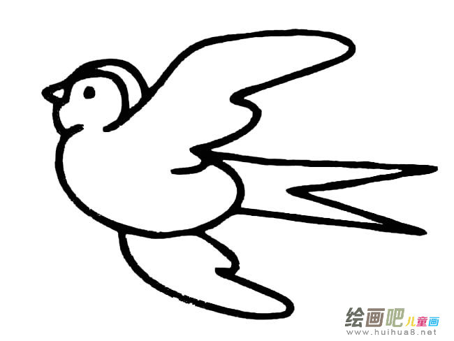 小燕子动物简笔画步骤图片大全三