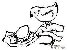 小鸟和蛋动物简笔画步骤图片大全