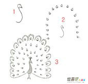 孔雀简笔画步骤图片大全