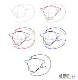 睡觉的狼简笔画步骤图片大全