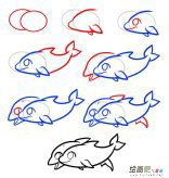 海豚简笔画步骤图片大全