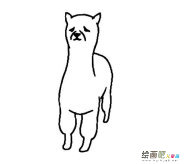 草泥马简笔画图片