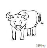 水牛简笔画图片大全