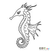 海马简笔画图片大全
