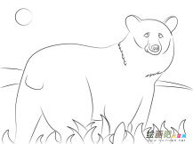 儿童狗熊简笔画图片