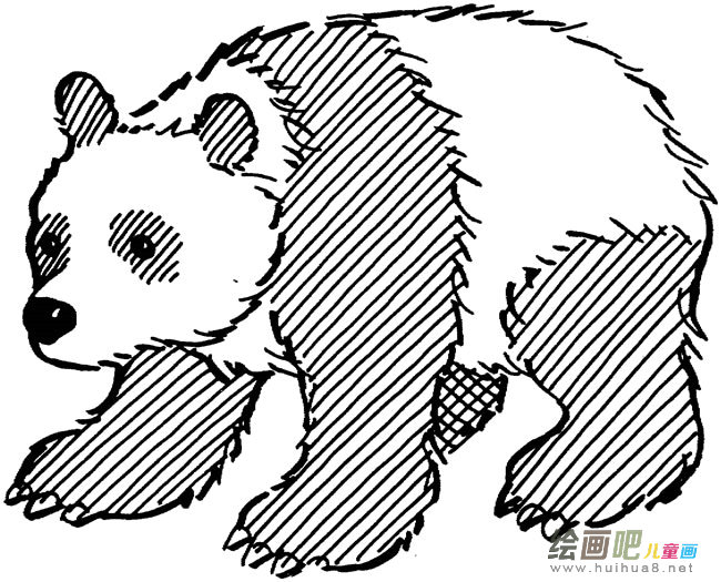 国宝大熊猫