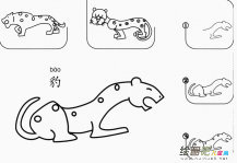 豹子怎么画简笔画图片