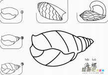 儿童画海螺怎么画简笔画
