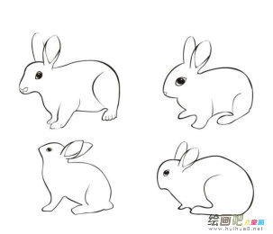 玉兔简笔画