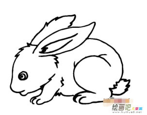玉兔简笔画