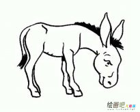 卡通驴的简笔画图片大全