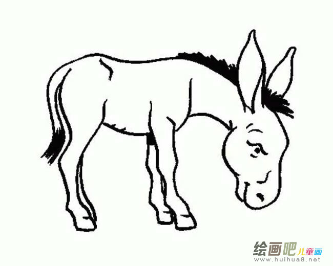 小毛驴简笔画