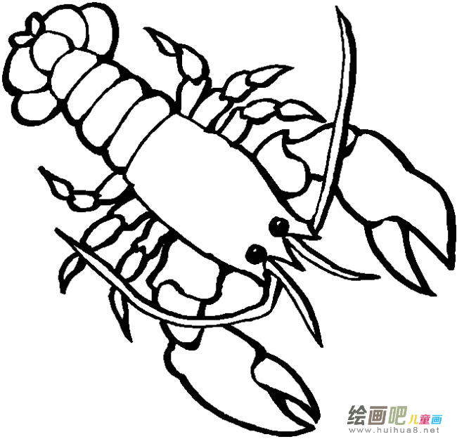 龙虾简笔画图片大全