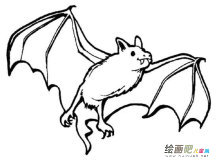 幼儿卡通蝙蝠简笔画怎么画