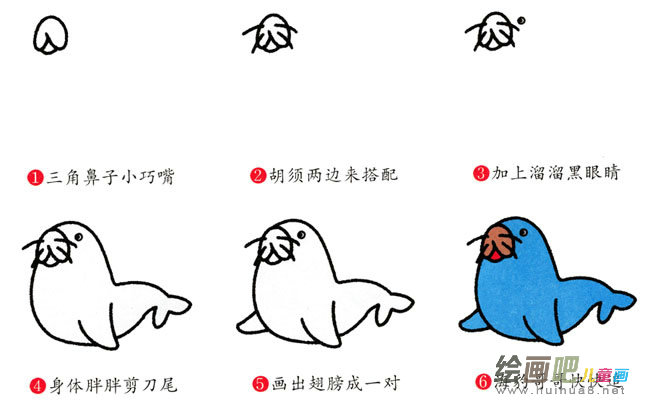 彩色的海豹简笔画画法步骤图