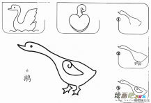 鹅简笔画怎么画步骤图教程