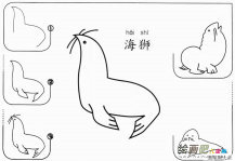 儿童卡通海象海狮简笔画怎么画