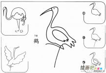 幼儿丹顶鹤简笔画的画法
