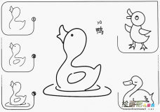 怎么画小鸭简笔画图片