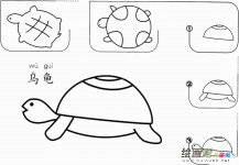 幼儿乌龟怎么画简笔画图片