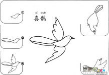 幼儿喜鹊的简笔画怎么画
