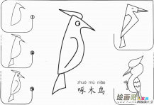 啄木鸟怎么画简笔画