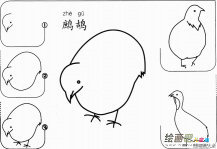 幼儿鹧鸪怎么画的画法步骤图