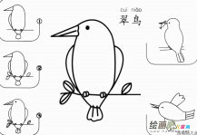 翠鸟怎么画简笔画图片