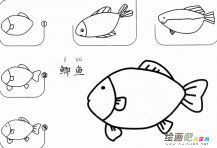 鲫鱼怎么画简笔画