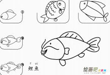 鲤鱼怎么画简笔画