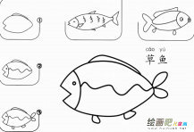 草鱼怎么画简笔画图片