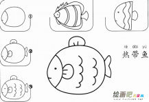 热带鱼怎么画的图片