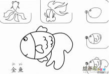 金鱼怎么画一步一步教