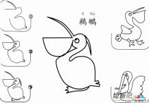 怎样教孩子画鹈鹕
