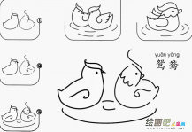 鸳鸯怎么简单画